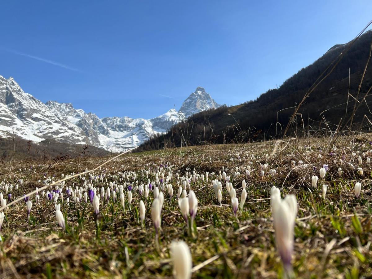 Hotel La Luge Valtournenche Esterno foto